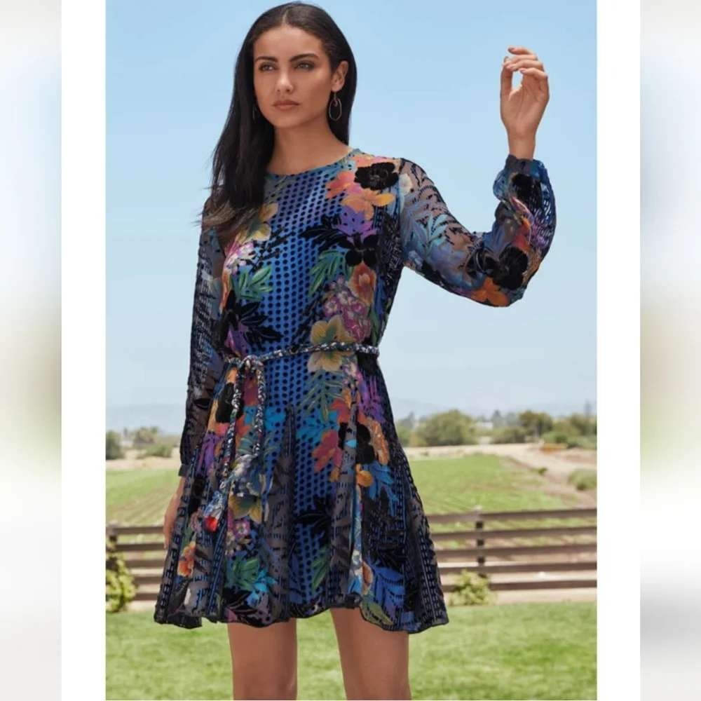 Johnny Was Lanai Burnout Velvet Pippa Dress Womens L Blue Floral Silk C33822B8